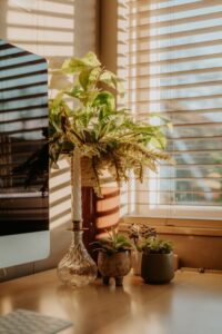 resized_335742